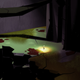 Illustration for article titled The BBQarian